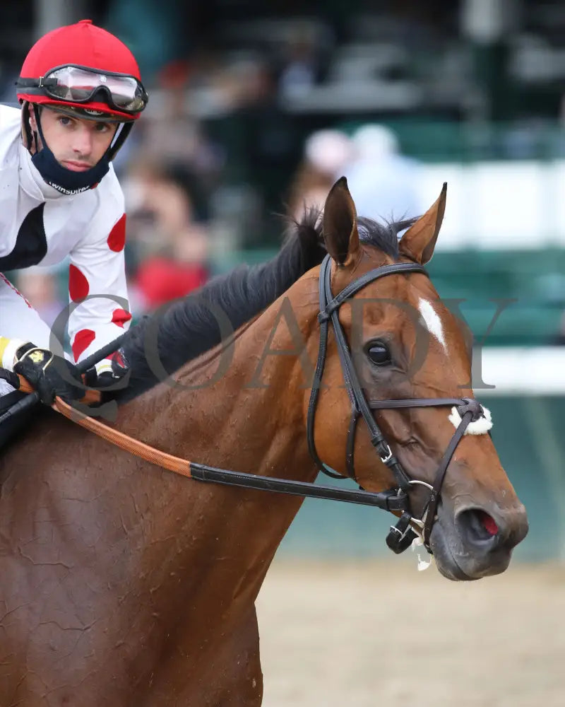 Into Mystic - The Unbridled Sidney 11Th Running 04-29-21 R10 Cd Come Back 01 Churchill Downs