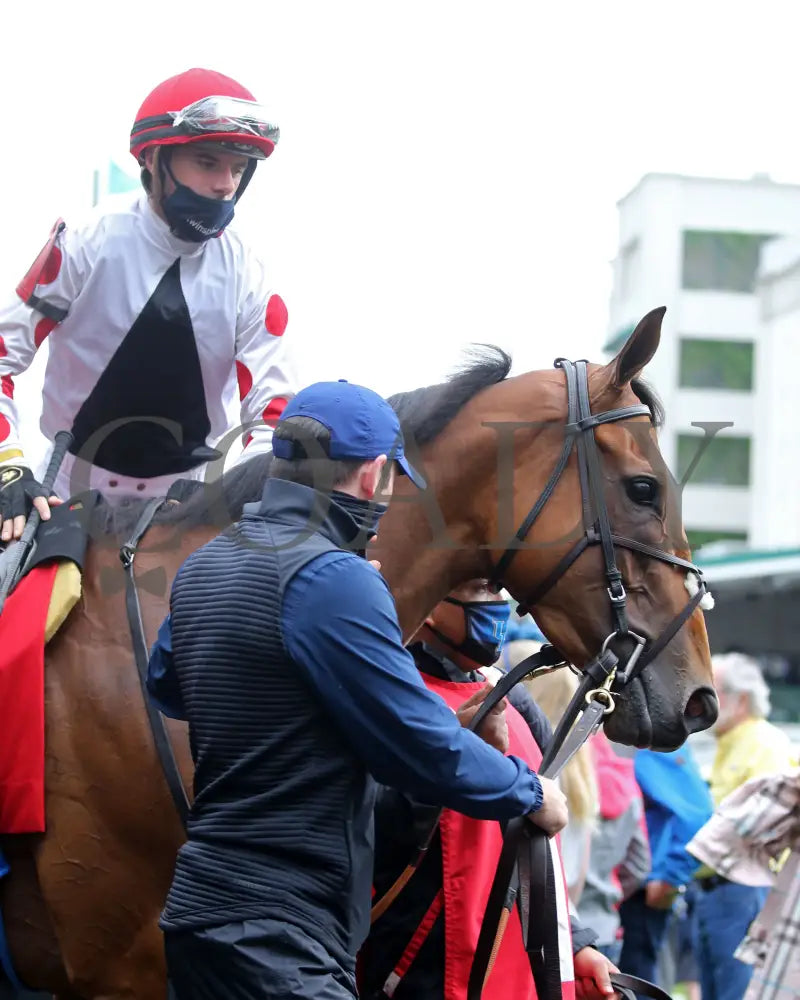Into Mystic - The Unbridled Sidney 11Th Running 04-29-21 R10 Cd Paddock 01 Churchill Downs