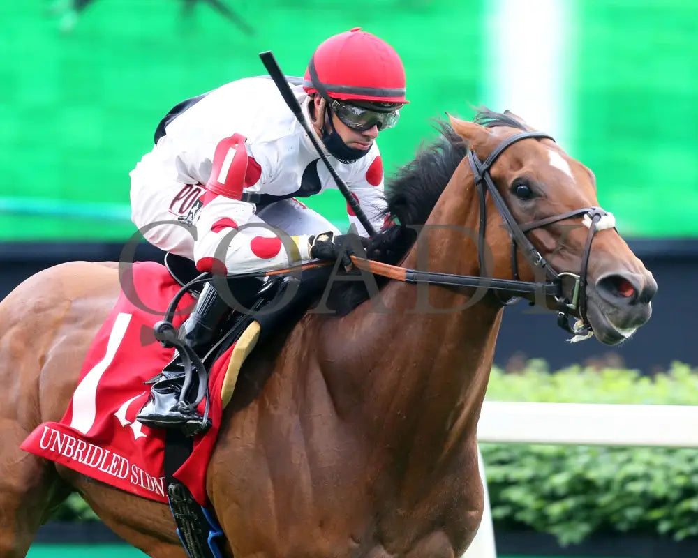 Into Mystic - The Unbridled Sidney 11Th Running 04-29-21 R10 Cd Tight Finish 01 Churchill Downs