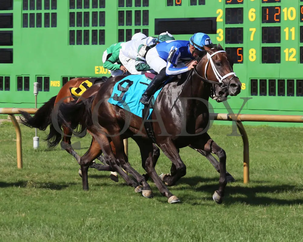 Inveniam Viam - 070817 Race 08 Elp Finish 2 Ellis Park