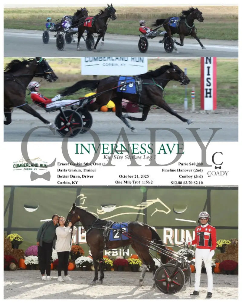 INVERNESS AVE - Ky. Sire Stakes Leg 1 - 10-21-25 - R09 - CMR Presque Isle Downs