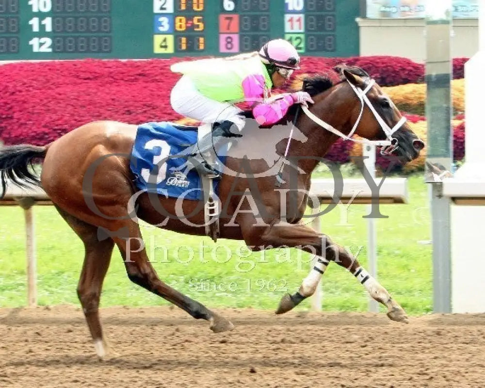 Jac’s Fact - 081014 Race 03 Btp Belterra Park