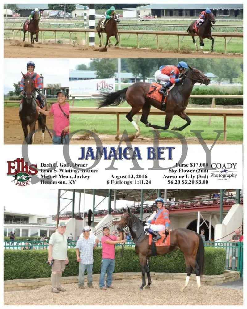Jamaica Bet - 081316 Race 02 Elp Ellis Park