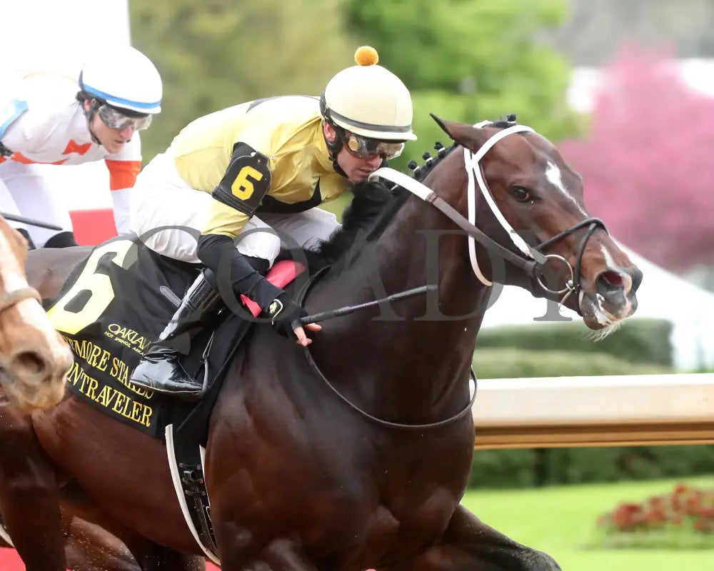Jaxon Traveler - The Whitmore Stakes G3 78Th Running 03 - 16 - 24 R09 Op Tight Finish 03 Oaklawn