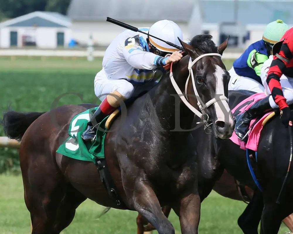 Jazzy Times - 080518 Race 05 Elp Finish 02 Ellis Park