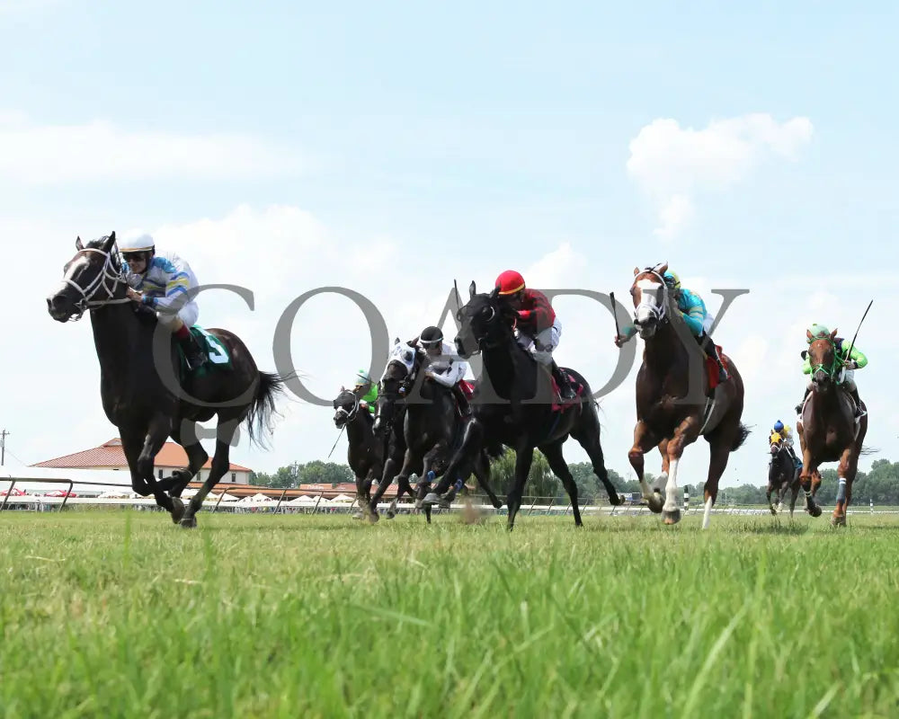 JAZZY TIMES - 080518 - Race 05 - ELP - Under Rail 01 - Coady Media - Kurtis Coady Photography