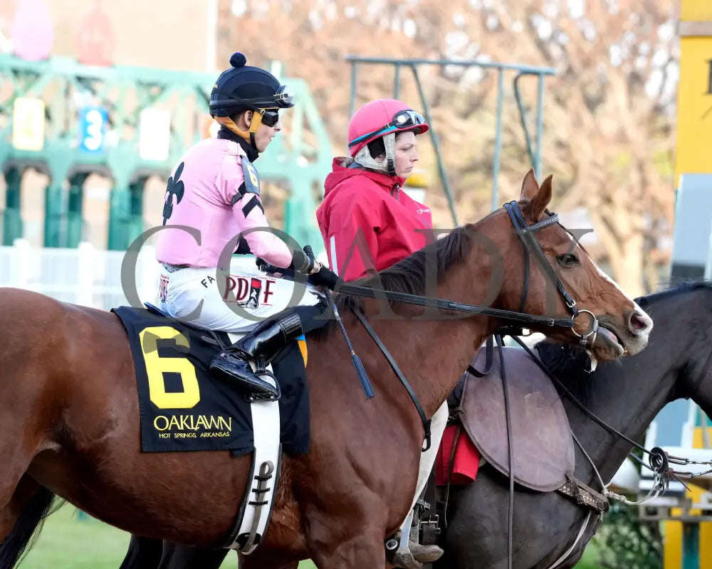 JERSEY PEARL - Poinsettia Stakes - 12-21-25 - R08 - OP - Post Parade 02 - Coady Media - Kurtis Coady Photography
