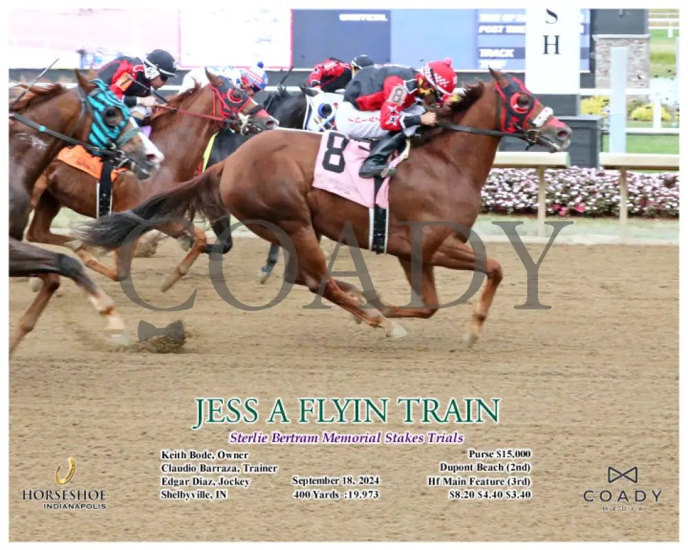 Jess A Flyin Train - Sterlie Bertram Memorial Stakes Trials 09-18-24 R09 Ind Action Indiana Grand