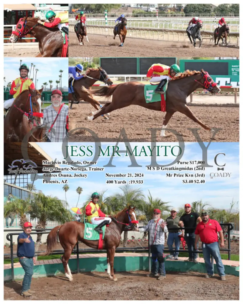 Jess Mr Mjess Mayito - 11-21-24 R01 Turf Paradise