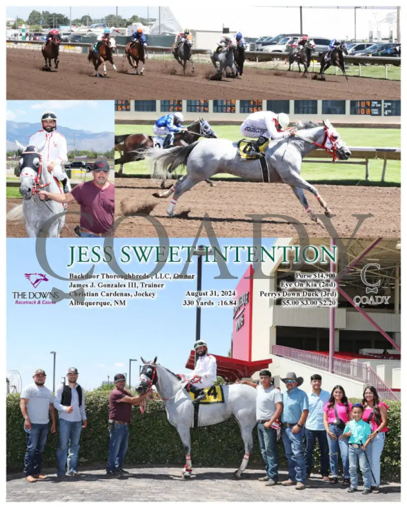 Jess Sweet Intention - 08-31-24 R01 Alb Downs At Albuquerque