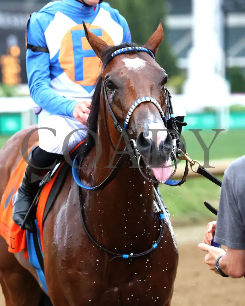 JOE SHIESTY - The Mighty Beau - 06-07-25 - R10 - CD - Come Back 02 Churchill Downs