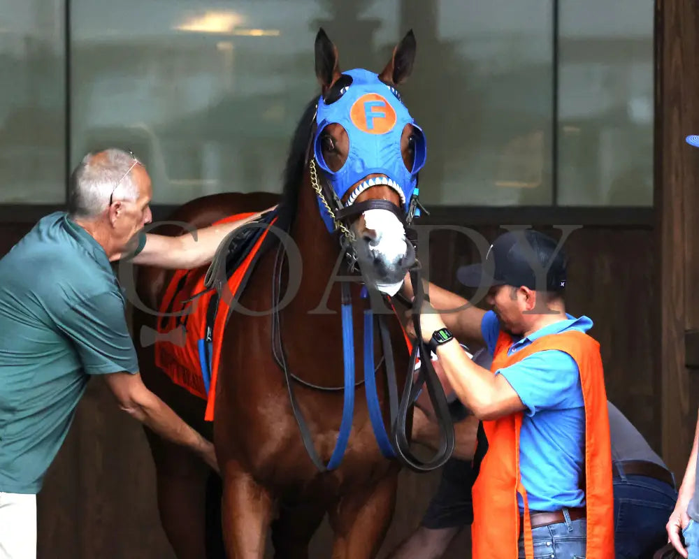 JOE SHIESTY - The Mighty Beau - 06-07-25 - R10 - CD - Paddock 01 Churchill Downs