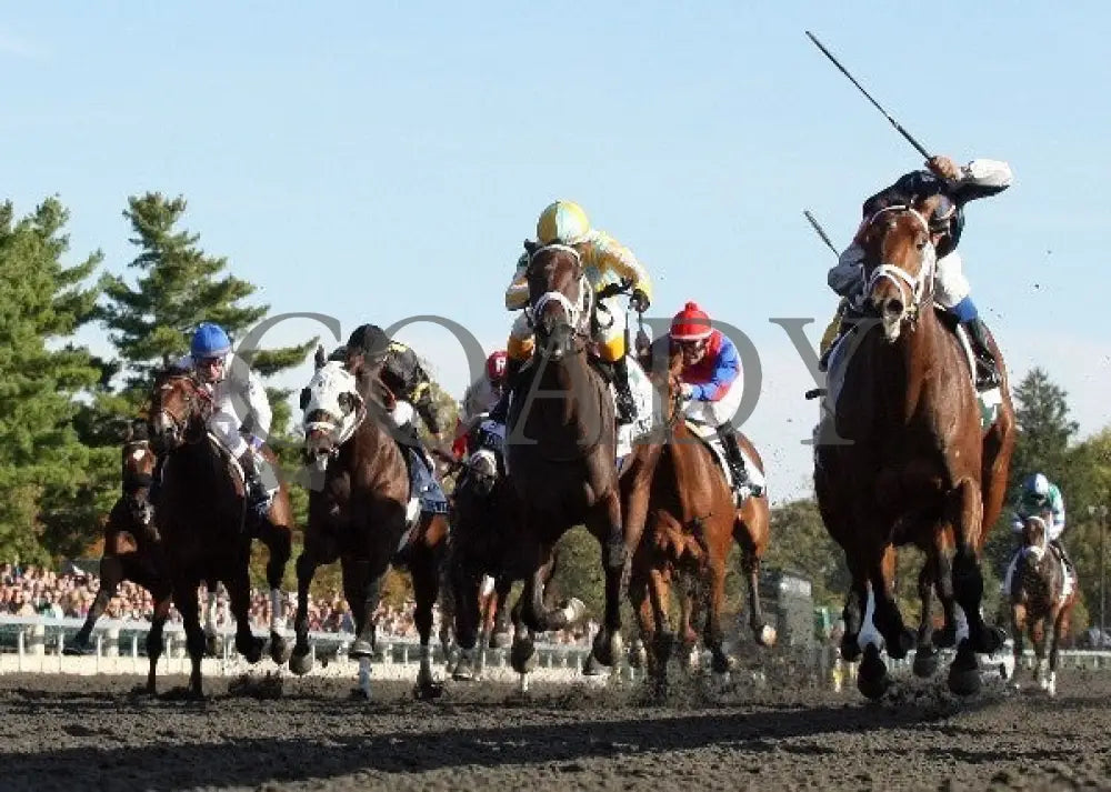 Joha - 100612 Race 08 Under Rail Keeneland