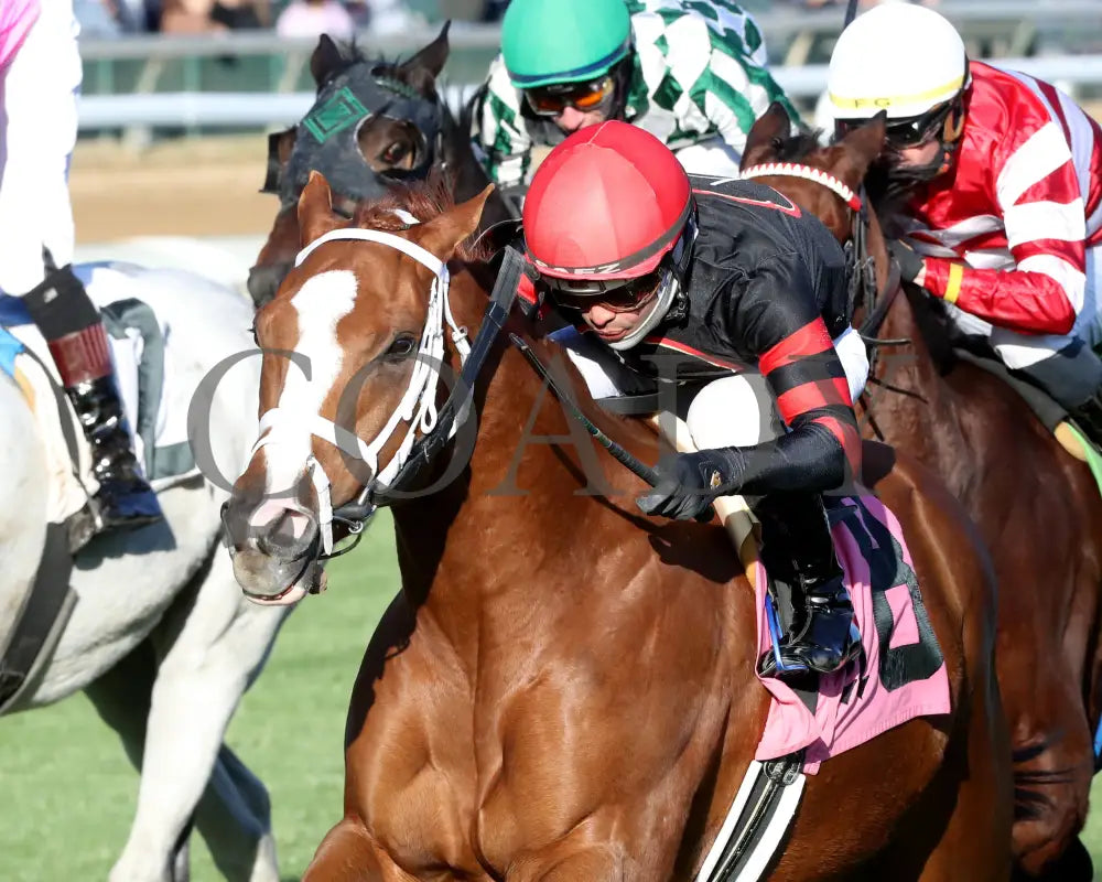 Johny’s Fireball - 11-29-24 R06 Cd Inside Finish 01 Churchill Downs