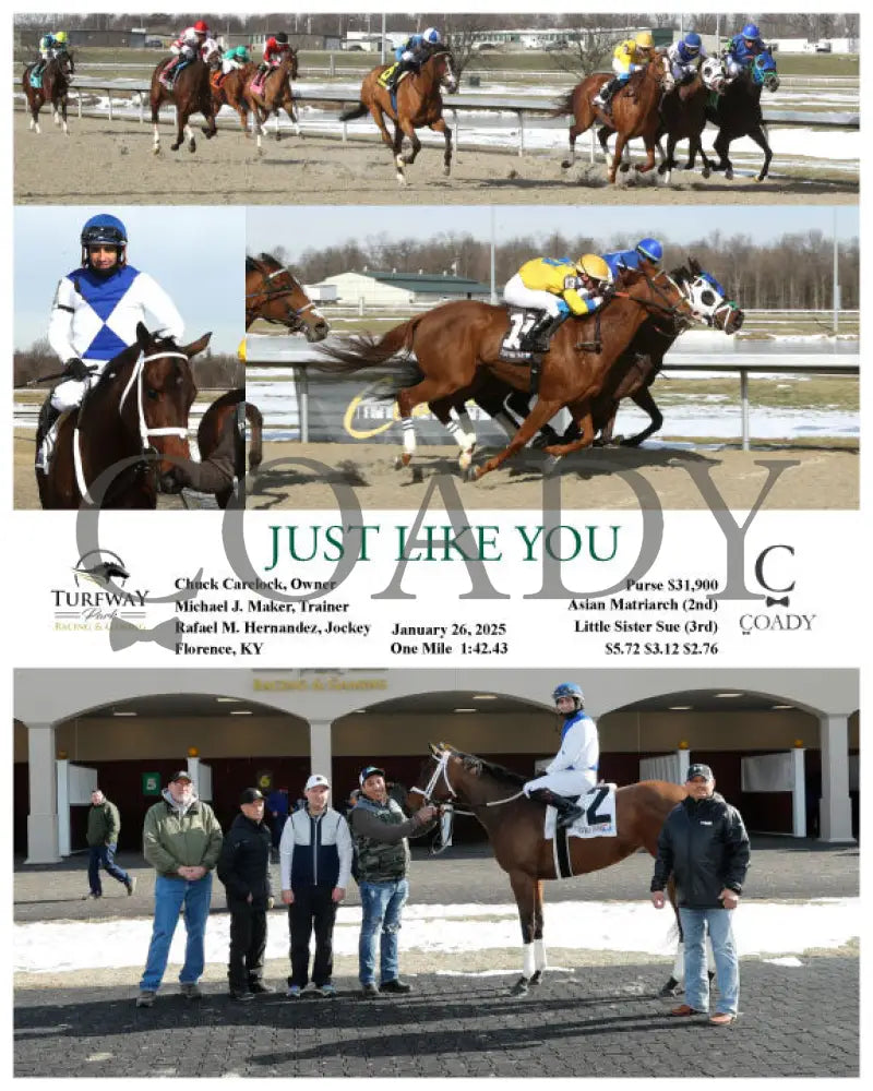 Just Like You - 01-26-25 R04 Tp Turfway Park