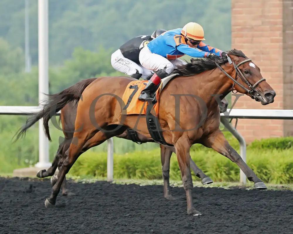JUSTINQUESO - The Lady Erie Stakes - 08-04-25 - R07 - PID - Tight Finish 01 Presque Isle Downs