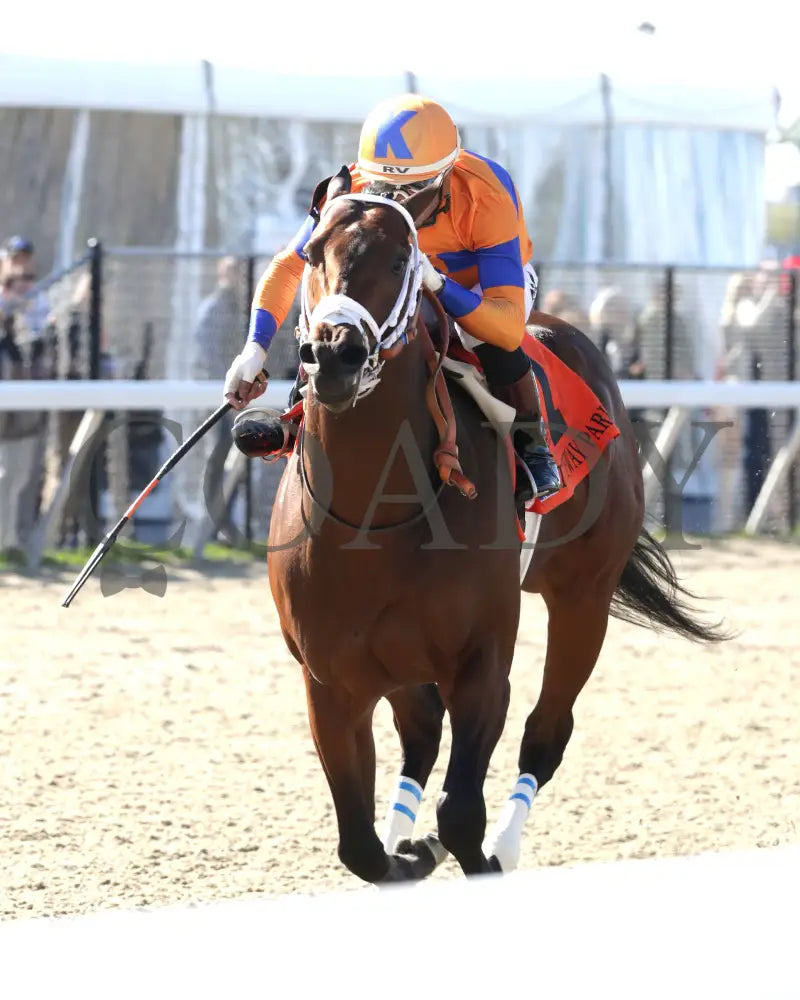 KALE’S ANGEL - ANIMAL KINGDOM STAKES - 39th Running - 03-22-25 - R09 - TP - Inside Finish 02 Turfway Park