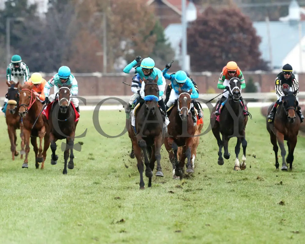 Kallio - Cardinal G3 46Th Running 11-28-19 R11 Cd Head On 01 Churchill Downs