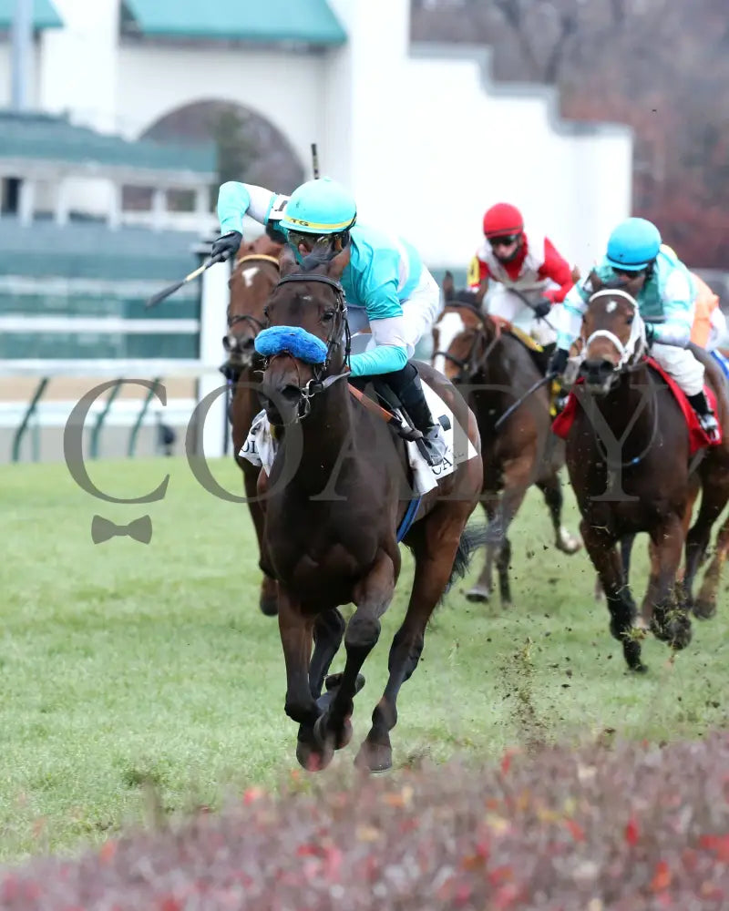 Kallio - Cardinal G3 46Th Running 11-28-19 R11 Cd Inside Finish 01 Churchill Downs