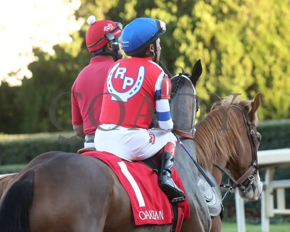 Kantex - Downthedustyroad Breeders’ Stakes 16Th Running 03-02-24 R09 Op Post Parade 03 Oaklawn Park
