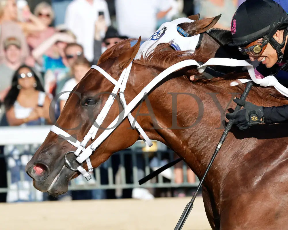 KAPPA KAPPA - 101825 - Race 09 - KEE - Inside Finish 02 Keeneland
