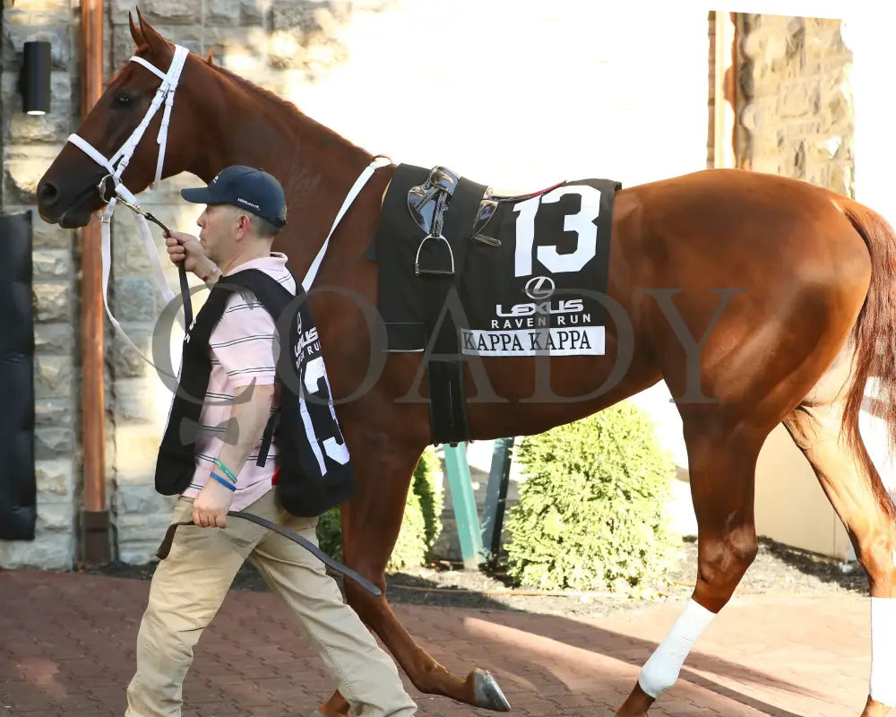 KAPPA KAPPA - 101825 - Race 09 - KEE - Paddock 02 Keeneland