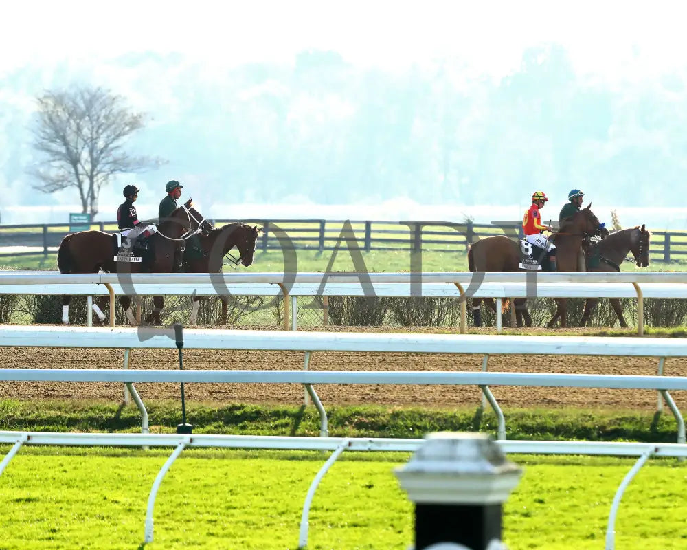 KAPPA KAPPA - 101825 - Race 09 - KEE - Post Parade 05 Keeneland