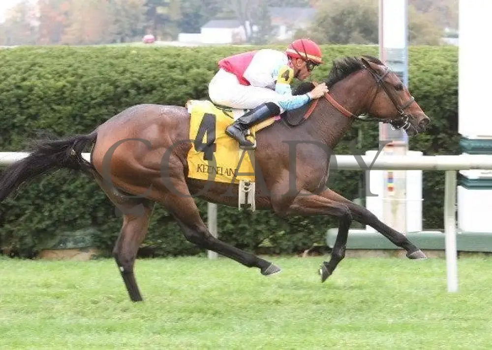 Karlovy Vary - 3 101211 Race 05 Keeneland