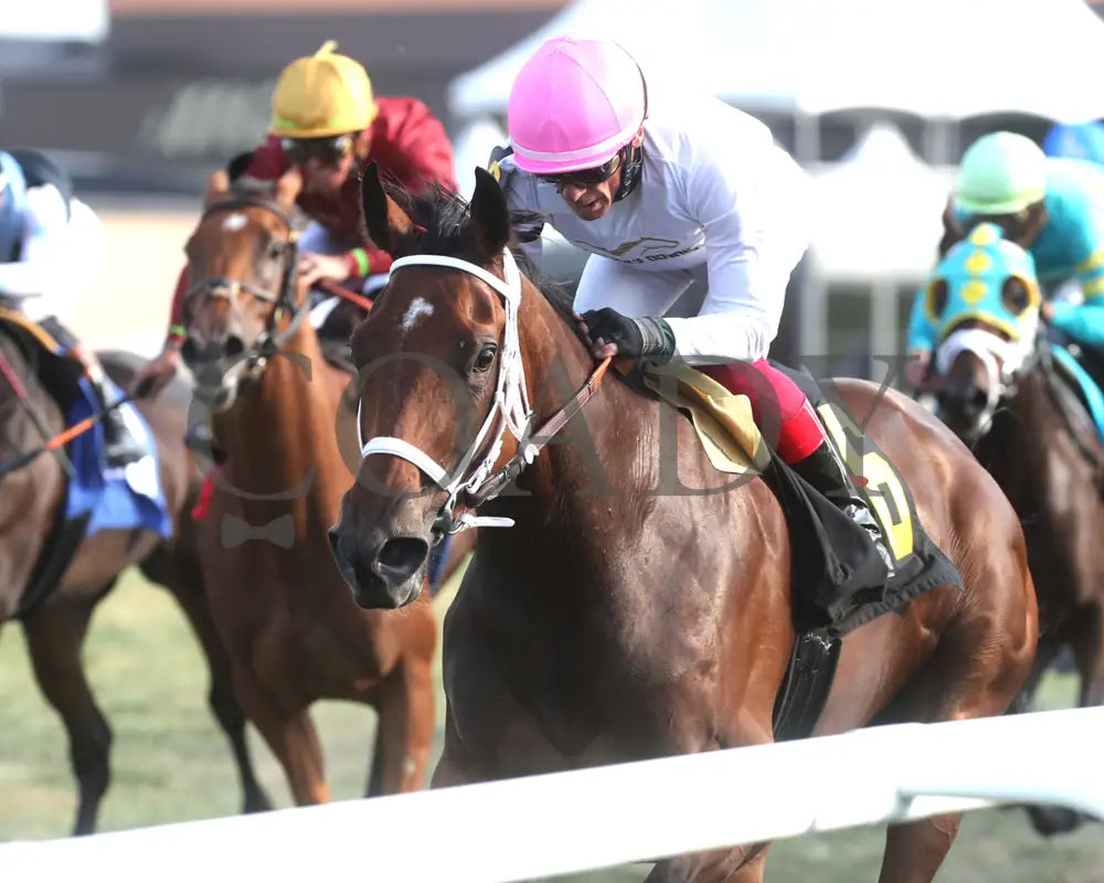 Kathynmarissa - The Pepsi Dueling Grounds Oaks Invitational 09-11-24 R09 Kd Inside Finish 01