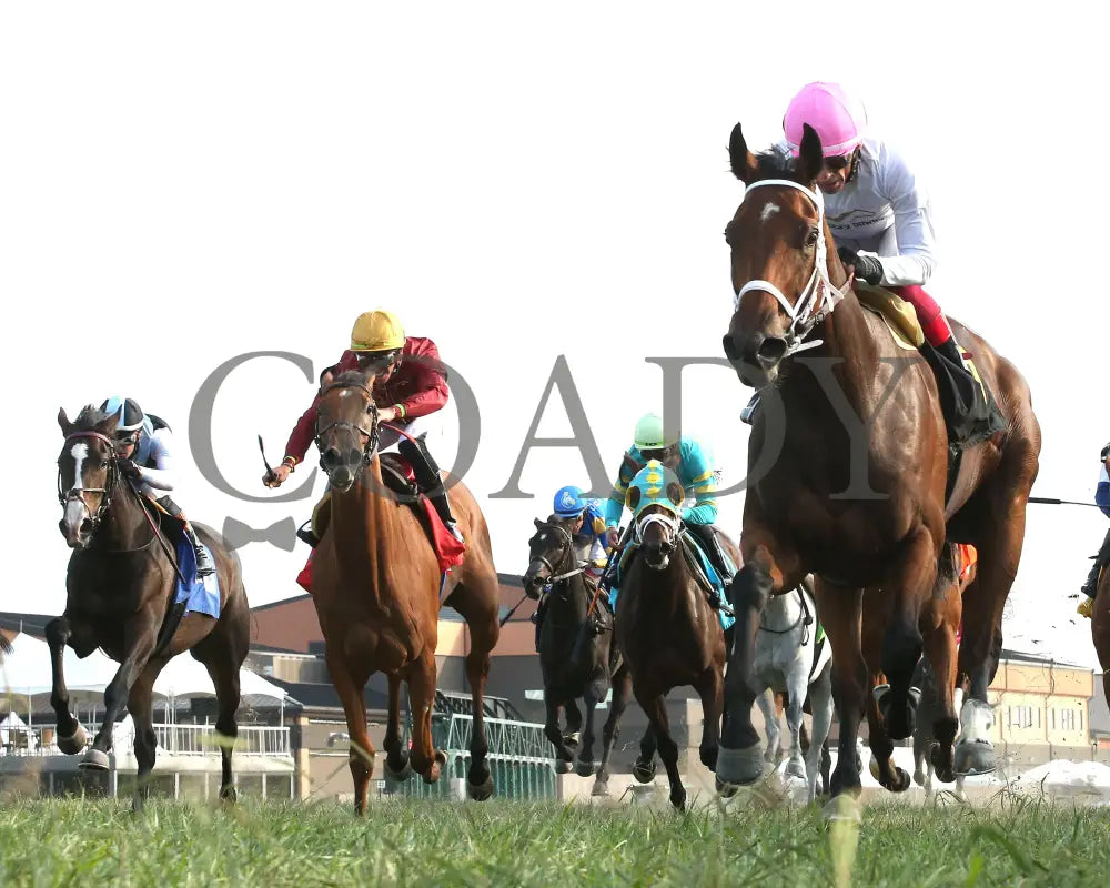 Kathynmarissa - The Pepsi Dueling Grounds Oaks Invitational 09-11-24 R09 Kd Under Rail 01 Kentucky
