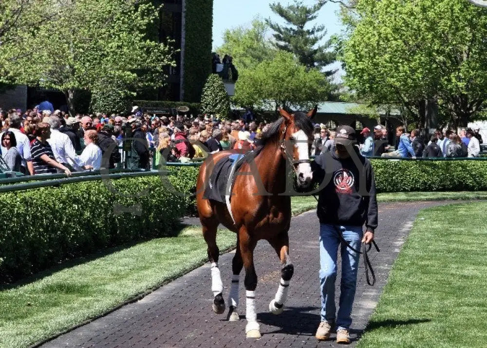 Kee-Scenics-040612-019 Keeneland