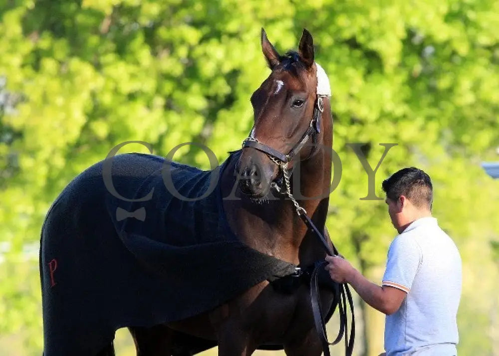 Kee-Scenics-041212-001 Keeneland