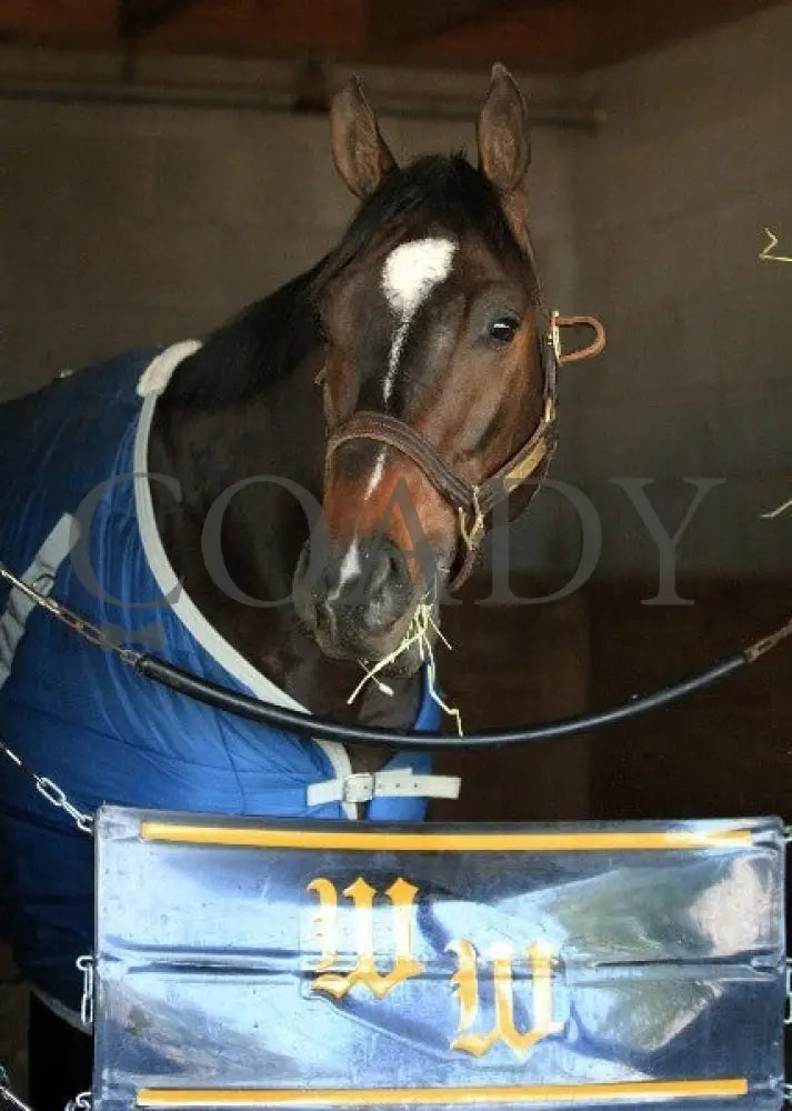 Kee-Scenics-041212-018 Keeneland