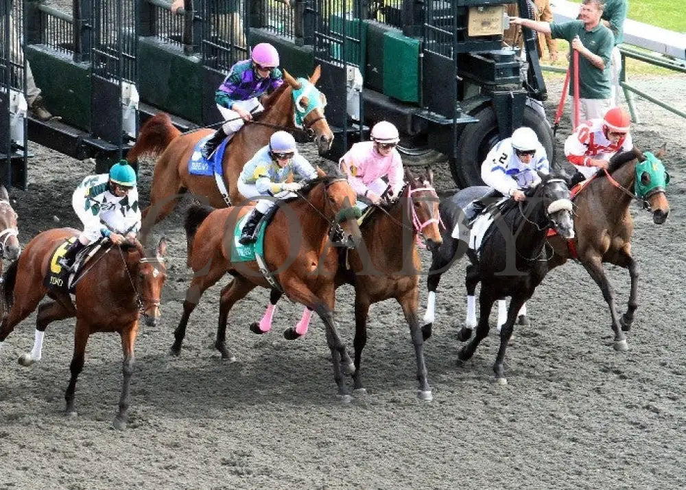 Kee-Scenics-041412-002 Keeneland