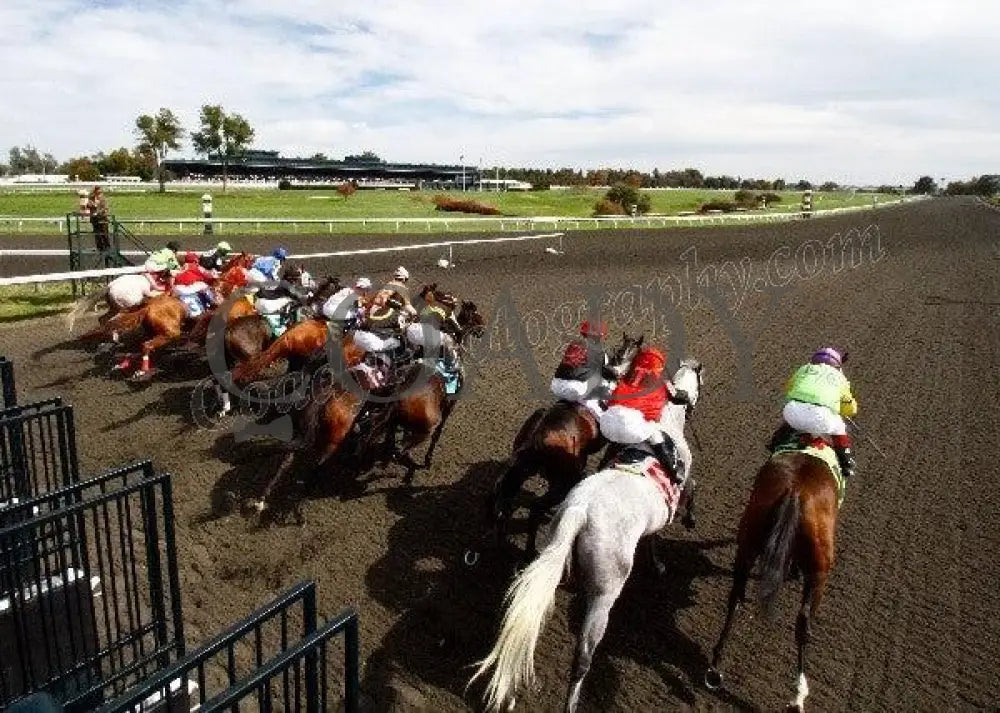 Keeneland - Fall 2011 Scenics 023