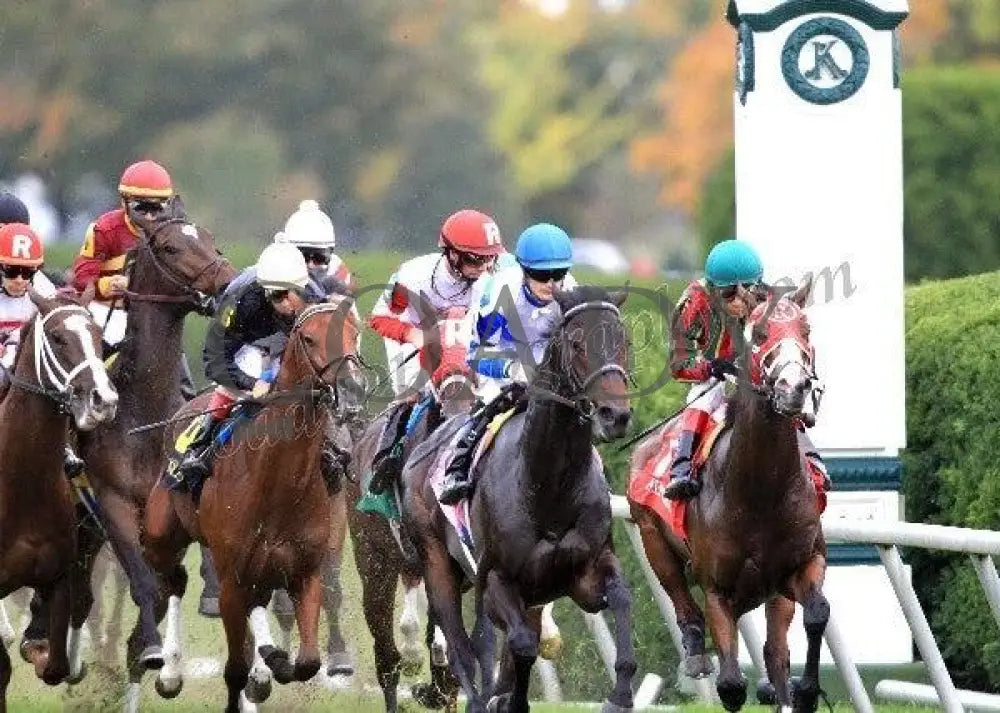 Keeneland - Fall 2011 Scenics 030