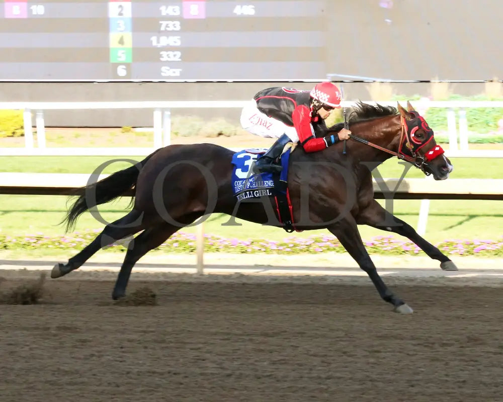KELLI GIRL - Cox Ranch Distaff Challenge Final - 09-16-25 - R09 - Horseshoe Indiana - Finish 01 - Sammantha Pagels