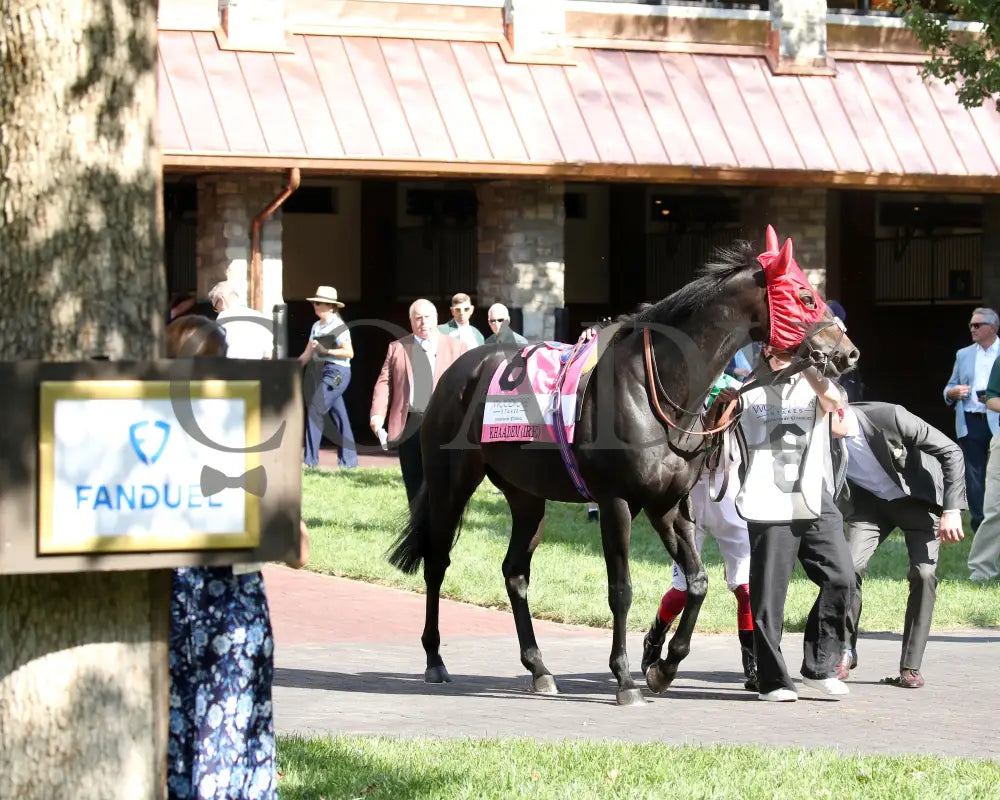 KHAADEM - 100425 - Race 06 - KEE - Paddock 01 Keeneland