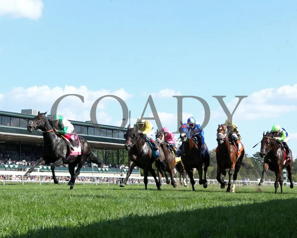 KHAADEM - 100425 - Race 06 - KEE - Under Rail 01 Keeneland
