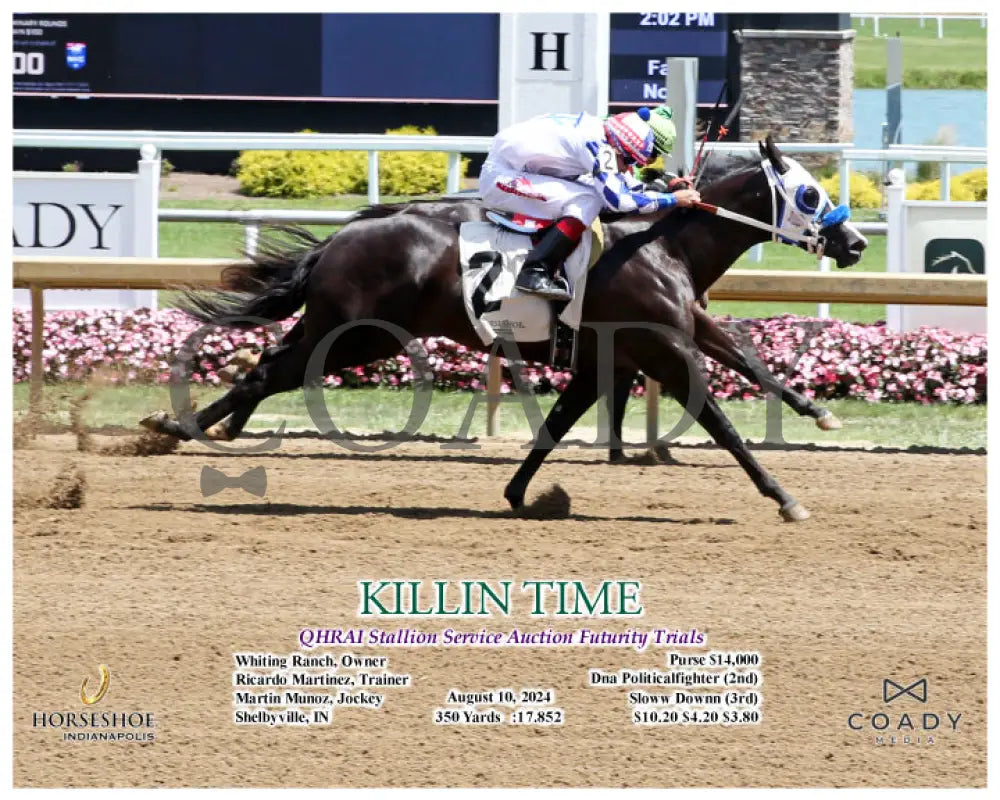 Killin Time - Qhrai Stallion Service Auction Futurity Trials 08-10-24 R08 Ind Action Indiana Grand