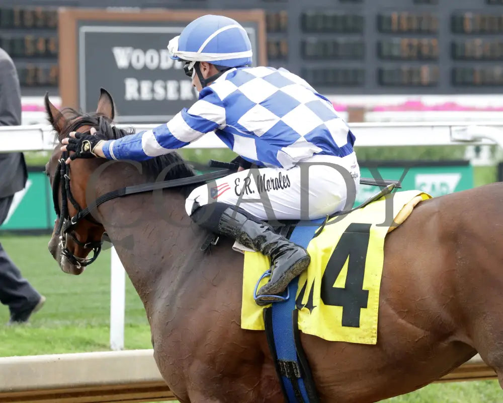 KILWIN - The Leslie’s Lady Overnight Stakes - 4th Running - 06-08-25 - R05 - CD - Come Back 04 Churchill Downs