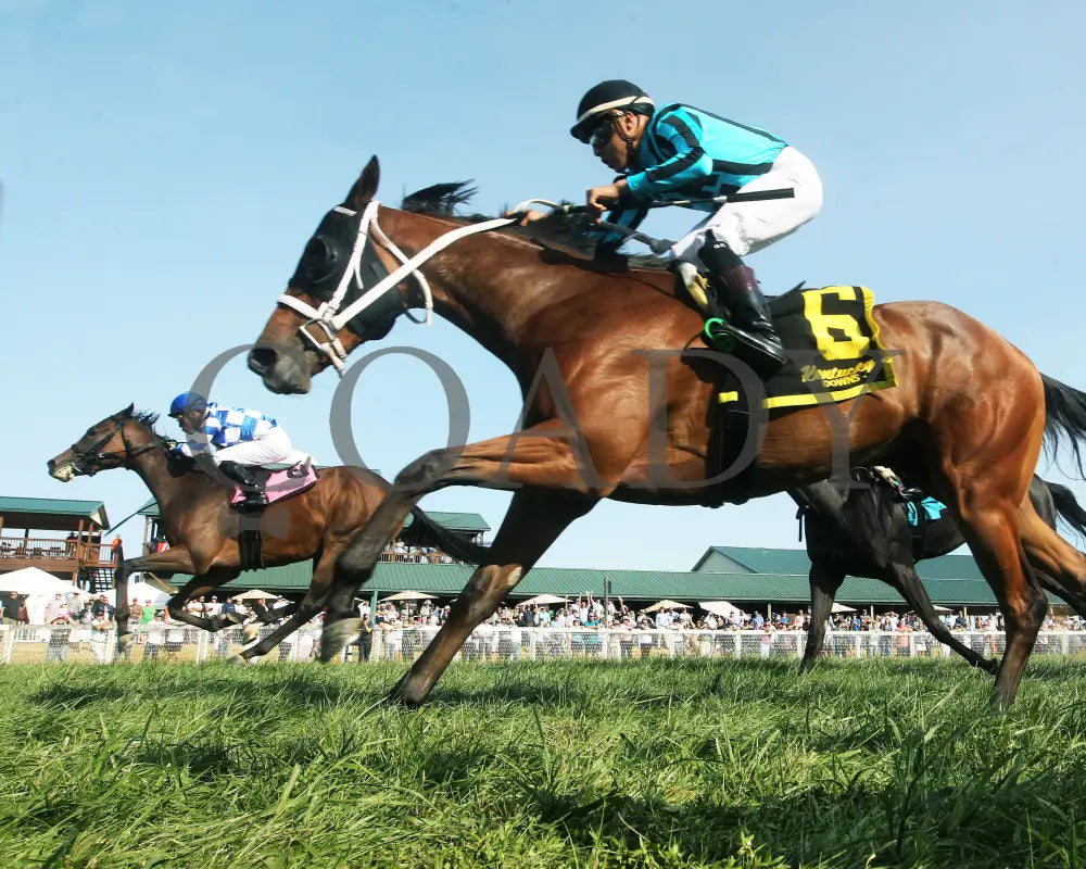 Kilwin - The Untapable Stakes 09-08-24 R08 Kd Under Rail 01 Kentucky Downs