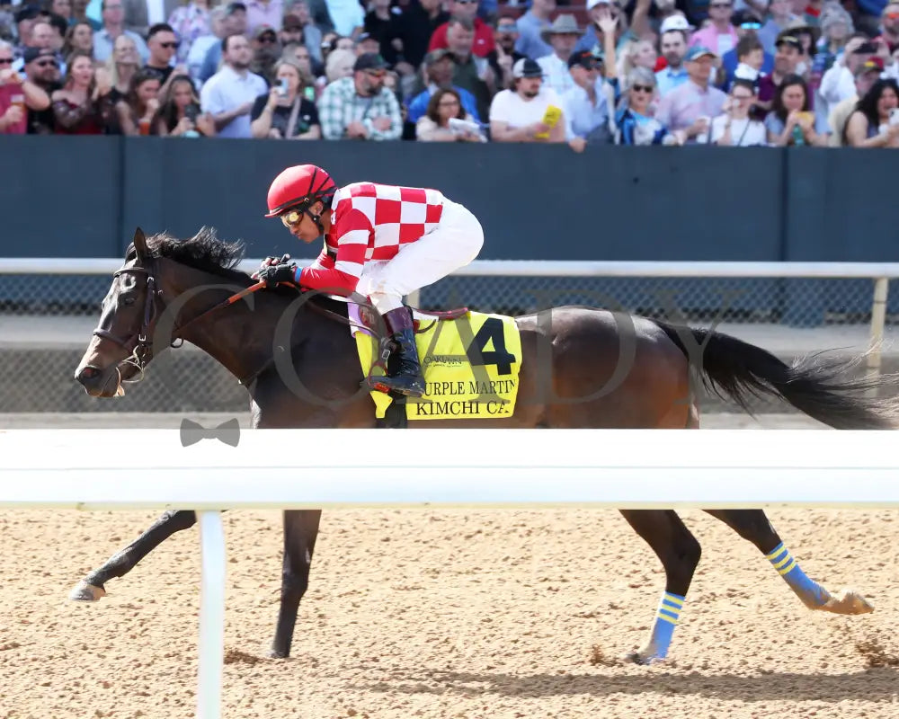 KIMCHI CAT - The Purple Martin - 03-22-25 - R07 - OP - Inside Finish 01 Oaklawn Park