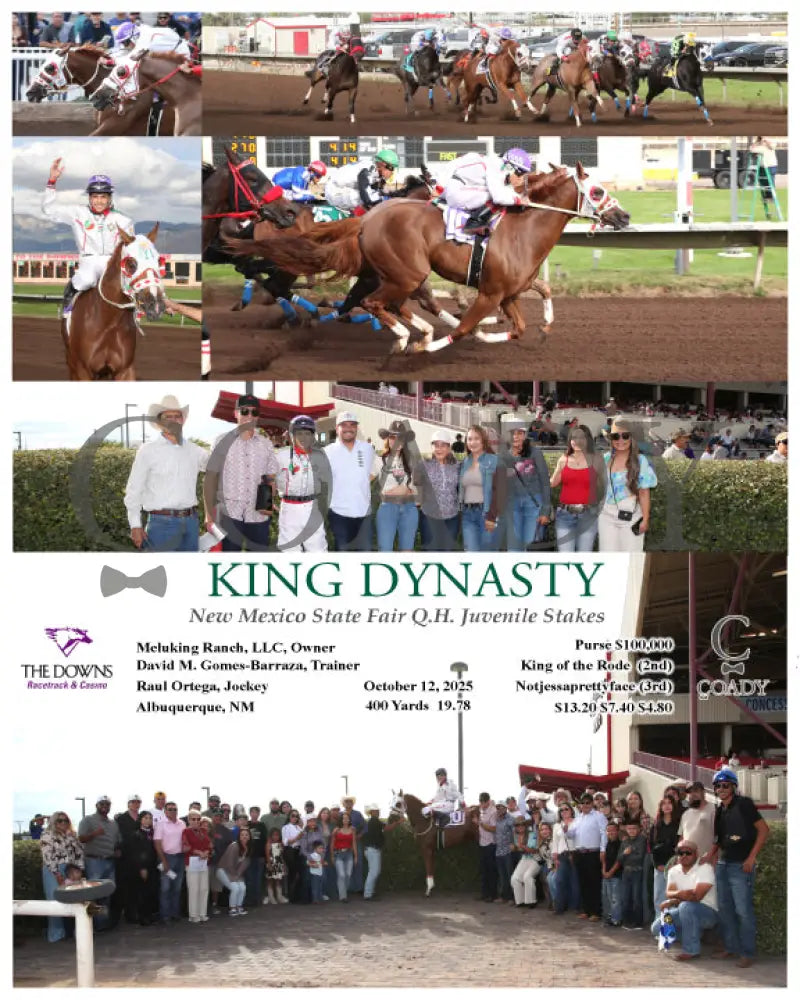 KING DYNASTY - New Mexico State Fair Q.H. Juvenile Stakes - 10-12-25 - R07 - ALB Downs at Albuquerque