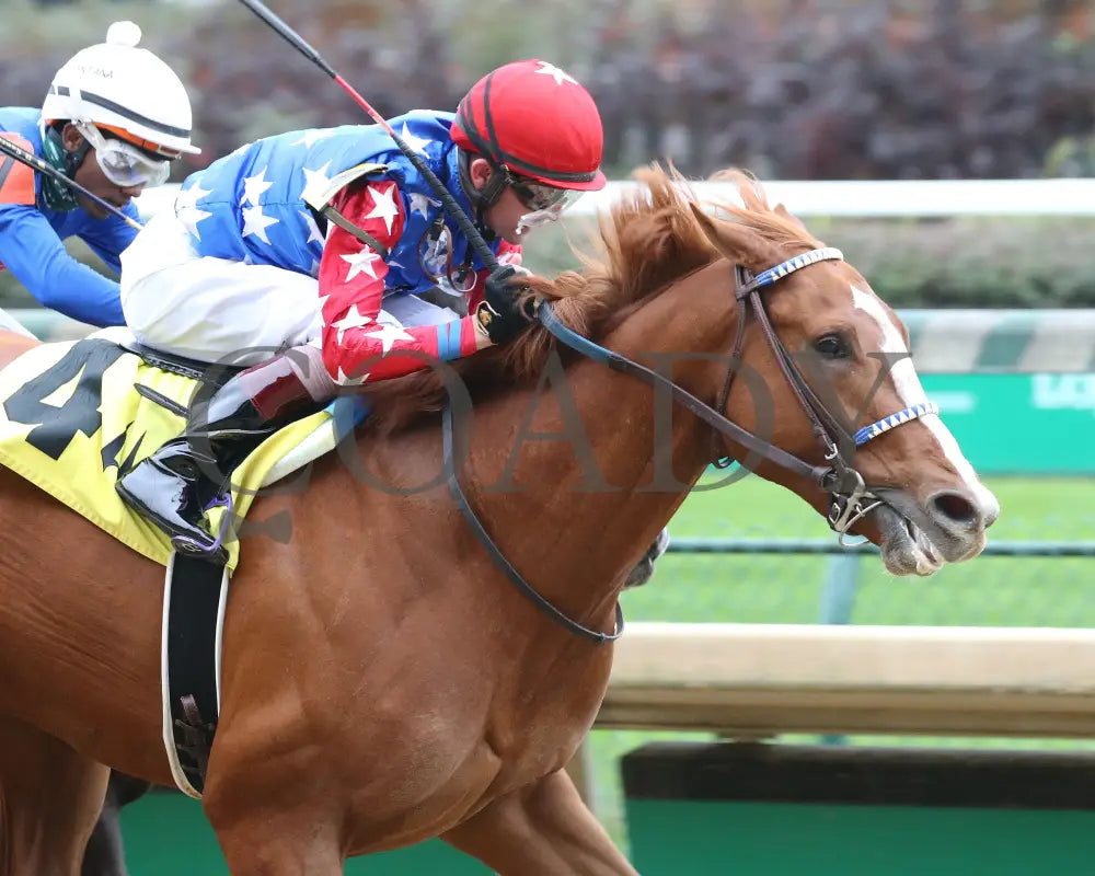 King Fury - The Street Sense Overnight Stakes 8Th Running 10-25-20 R08 Cd Finish 02 Churchill Downs