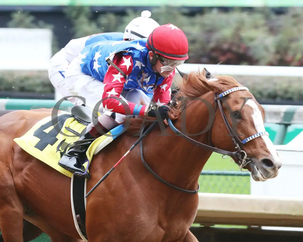 King Fury - The Street Sense Overnight Stakes 8Th Running 10-25-20 R08 Cd Finish 05 Churchill Downs