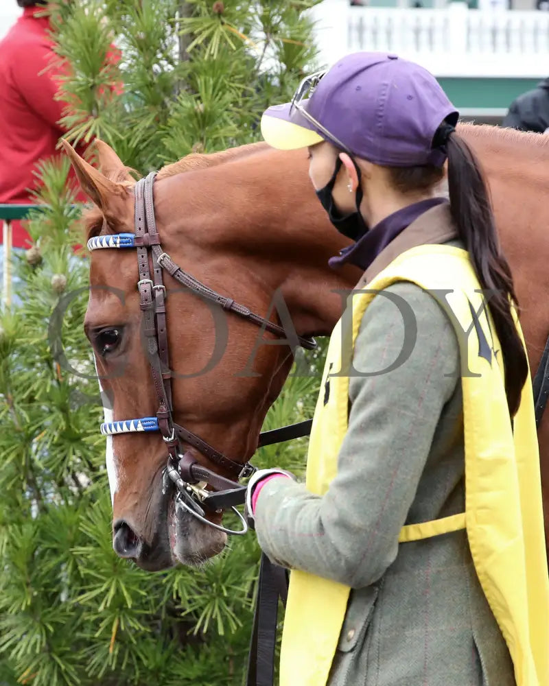 King Fury - The Street Sense Overnight Stakes 8Th Running 10-25-20 R08 Cd Paddock 01 Churchill Downs