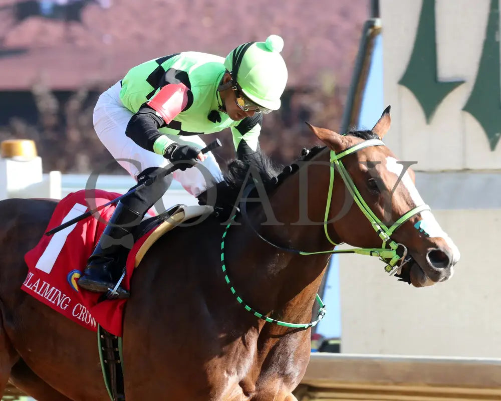 King Of Hollywood - 111624 Race 04 Cd Tight Finish 02 Churchill Downs