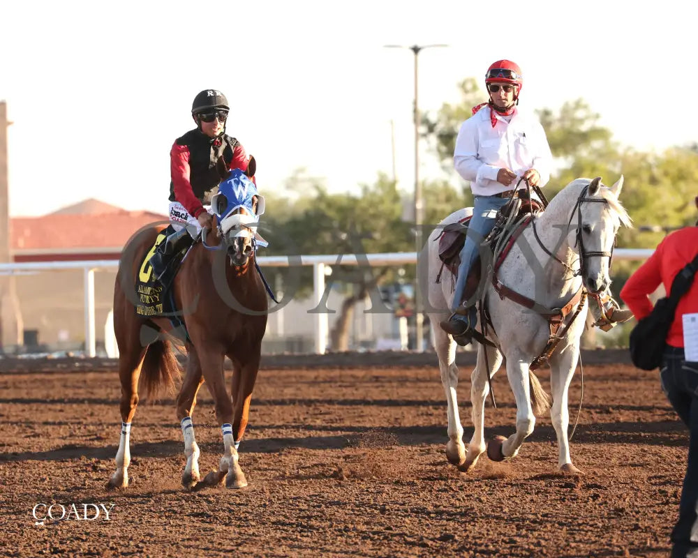 KING OF THE TIDE - All American Quarter Horse Futurity G1 - 09-01-25 - R10 - RUI - Come Back 01 - Coady Media - Kurtis Coady Photography