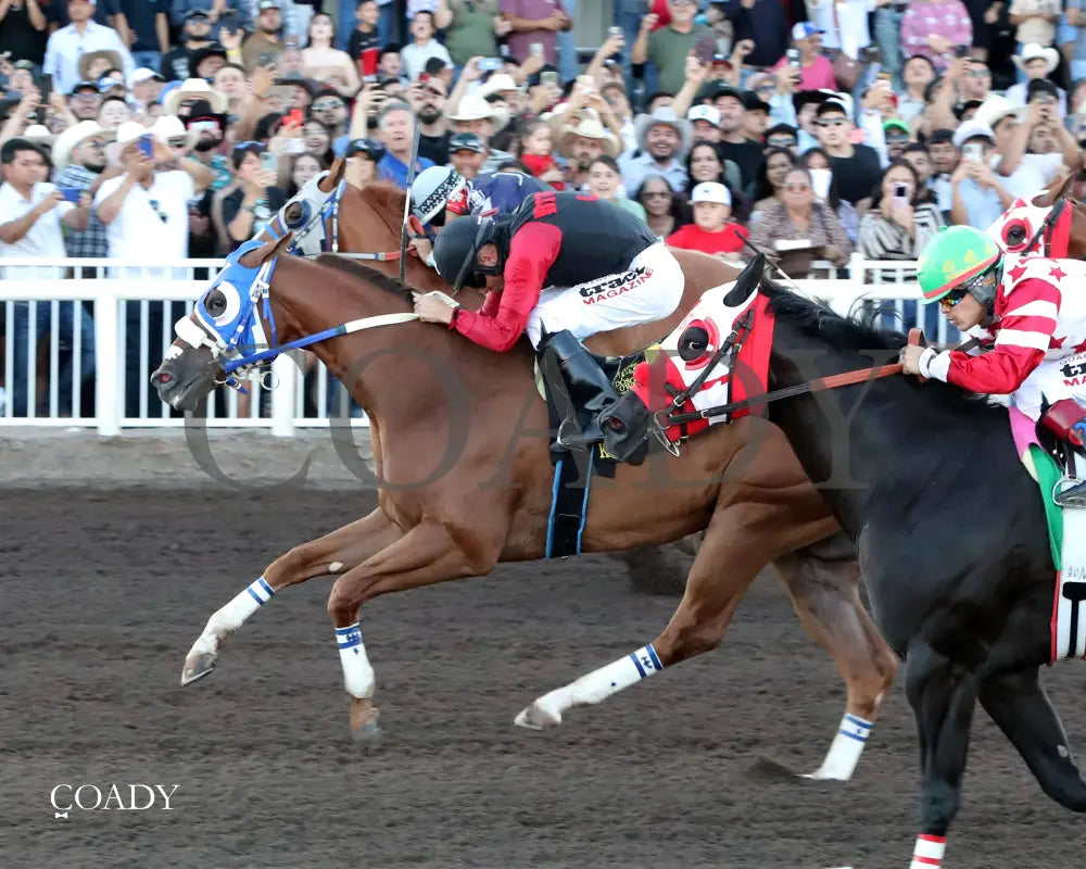 KING OF THE TIDE - All American Quarter Horse Futurity G1 - 09-01-25 - R10 - RUI - Inside Finish 01 - Coady Media - Kurtis Coady Photography